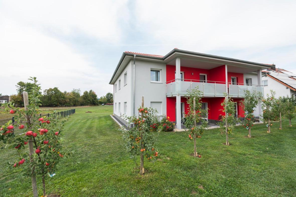 Hofmann'S Apartements & Ferienwohnungen Oberdachstetten Εξωτερικό φωτογραφία